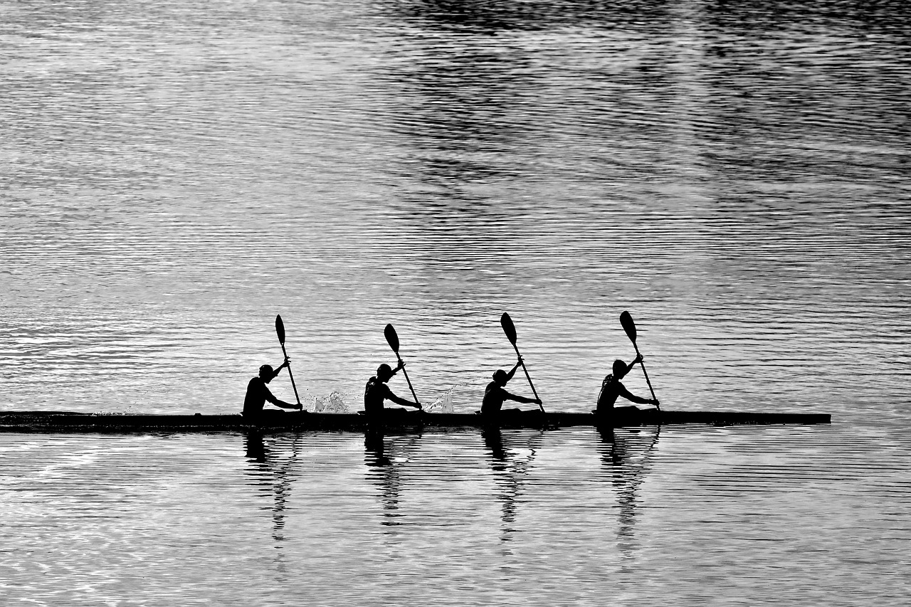 rowing, quartet, water sport, leisure, teamwork, monochrome, black and white, teamwork, teamwork, teamwork, teamwork, teamwork