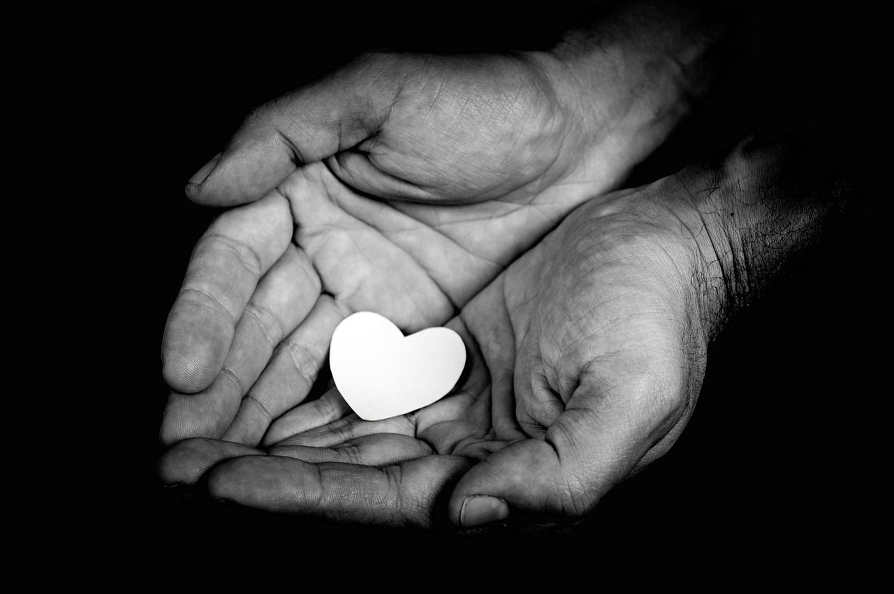 hands, a heart, black and white, love, palm, symbol, close-up, black and white photo, contrast, fingers, feelings, relationship, romance, gift